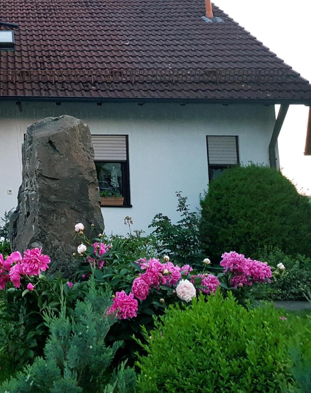 Pension Waldner Oberthulba Екстериор снимка